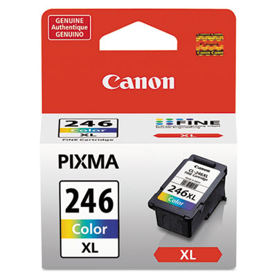 8280b001 (cl-246xl) Chromalife100+ High-Yield Ink, 300 Page-