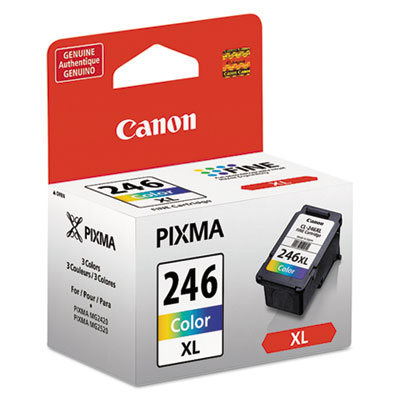 8280b001 (cl-246xl) Chromalife100+ High-Yield Ink, 300 Page-