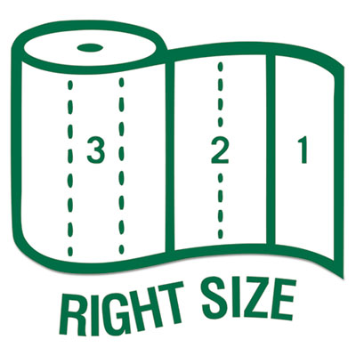 100% Recycled Paper Kitchen Towel Rolls, 2-Ply, 11 x 5.4, 14