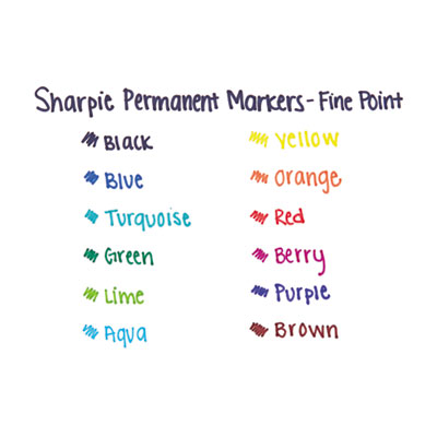 Fine Tip Permanent Marker Value Pack, Fine Bullet Tip, Blue,