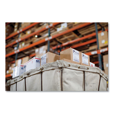 LW Extra-Large Shipping Labels, 4" x 6", White, 220 Labels/R