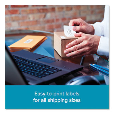 LW Shipping Labels, 2.31" x 4", White, 300 Labels/Roll, 6 Ro