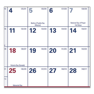 Erasable Vertical/Horizontal Wall Planner, 32 x 48, White/Bl