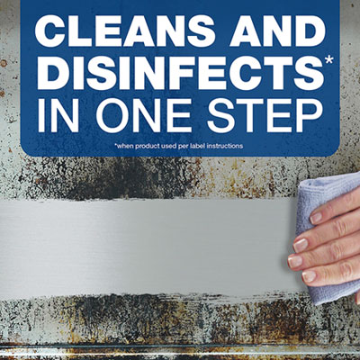 Disinfecting All-Purpose Spray And Glass Cleaner, Fresh Scen