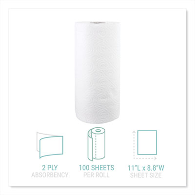 Kitchen Roll Towels, 2-Ply, 11 x 8.8, White, 100/Roll, 30 Ro