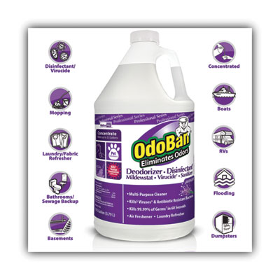 Concentrate Odor Eliminator and Disinfectant, Lavender, 1 ga
