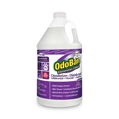 OdoBan Eucalyptus Odor-Eliminator Disinfectant
