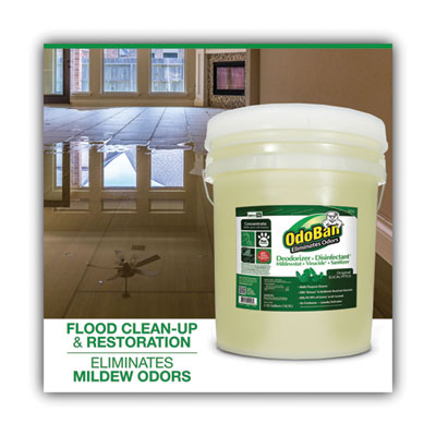 Concentrated Odor Eliminator And Disinfectant, Eucalyptus, 5