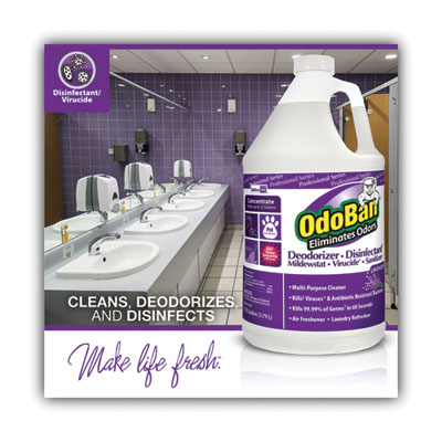 Concentrate Odor Eliminator and Disinfectant, Lavender, 1 ga