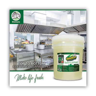 Concentrated Odor Eliminator And Disinfectant, Eucalyptus, 5