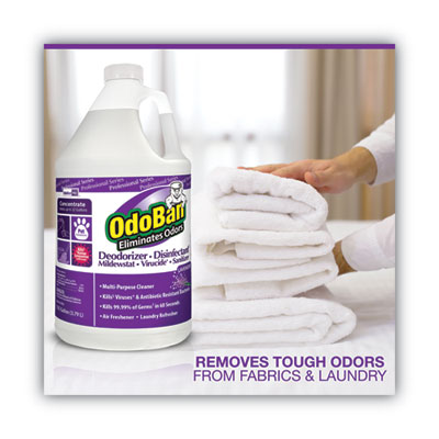 Concentrate Odor Eliminator and Disinfectant, Lavender, 1 ga