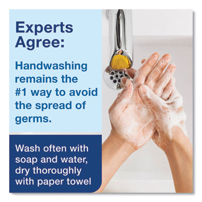 Premium Antibacterial Foam Soap Refill, Unscented, 1 L, 6/Ca