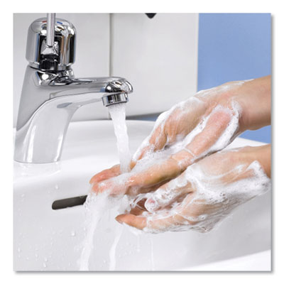Premium Extra Mild Soap Refill, Unscented, 1 L, 6/Carton