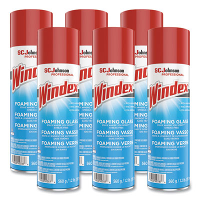 Foaming Glass Cleaner, 20 oz Aerosol Spray, 6/Carton