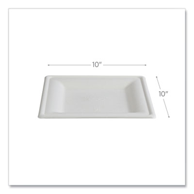 Vanguard Renewable and Compostable Sugarcane Plates, 10 x 10
