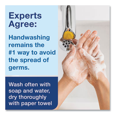 Clarity Hand Soap Refill, Unscented, 1 L, 6/Carton