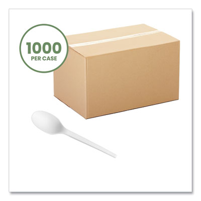 White CPLA Cutlery, General Purpose Spoon, Plastic, 1,000/Ca