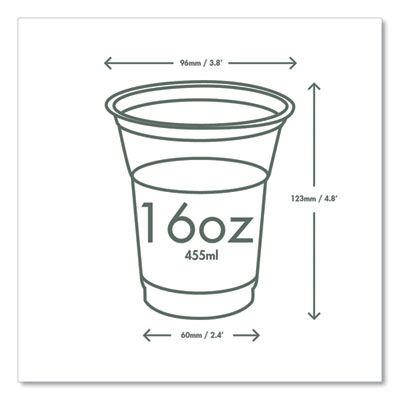 96-Series Cold Cup, 16 oz, Plastic, Clear/Green, 1,000/Carto