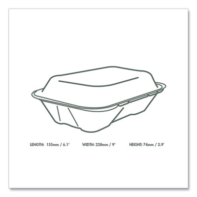 Nourish Molded Fiber Takeout Containers, Compostable, 6.1 x