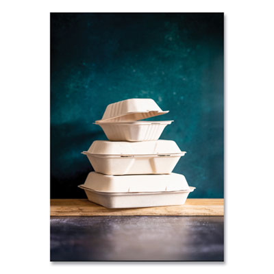Nourish Molded Fiber Takeout Containers, Compostable, 9 x 9