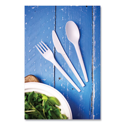 White CPLA Cutlery, General Purpose Spoon, Plastic, 1,000/Ca