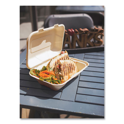 Nourish Molded Fiber Takeout Containers, Compostable, 6.1 x