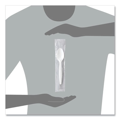 Regal Mediumweight Cutlery, Individually Wrapped, Spoon, Pla