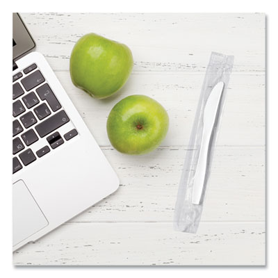 Regal Mediumweight Cutlery, Individually Wrapped, Knife, Pla