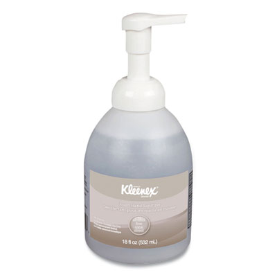 Alcohol-Free Foam Hand Sanitizer, 18 Oz Pump Bottle, Fragran