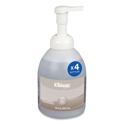 Alcohol-Free Foam Hand Sanitizer, 18 Oz Pump Bottle, Fragran