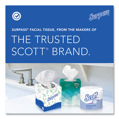 Facial Tissue for Business, Flat Box, 2-Ply, White, 100 Shee