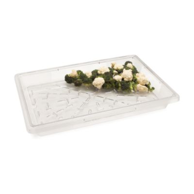 StorPlus Polycarbonate Food Storage Container, 5 gal, 18 x 2