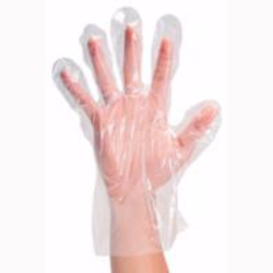 Food Service Glove