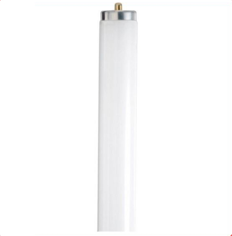 Fluorescent Tube 4 ft T8 Daylight