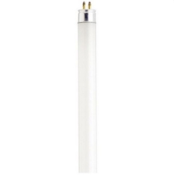 Fluorescent Tube 1 ft T5 Lamp Single