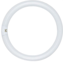 Circline Fluorescent - 22 watt - T9
