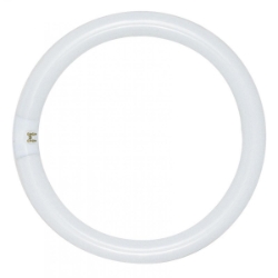 Circline Fluorescent - 22 watt
