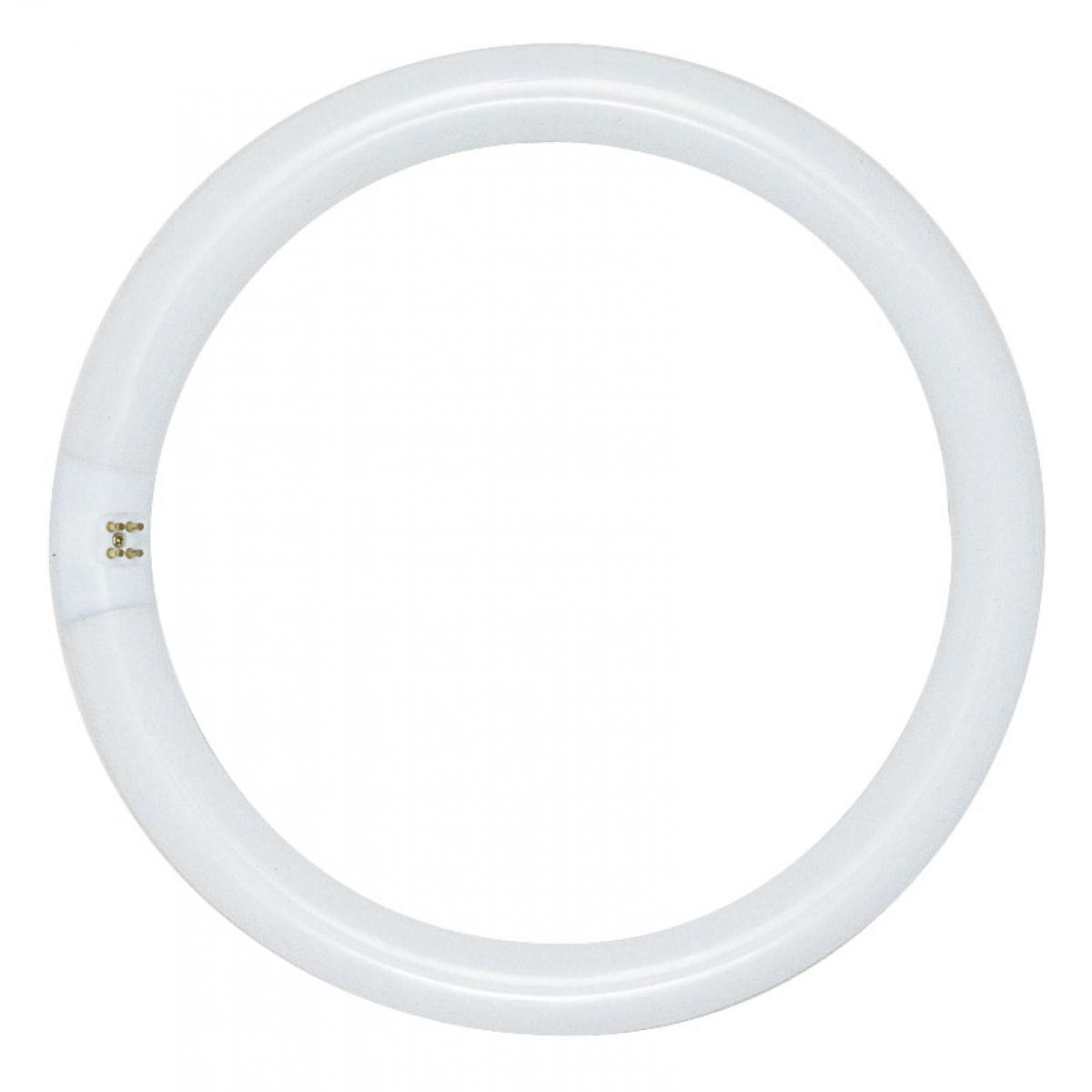Circline Fluorescent - 22 watt