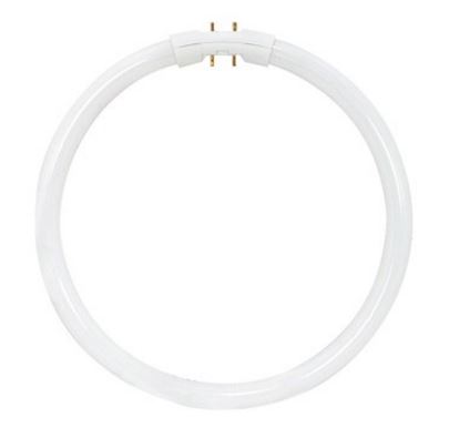 Circline Fluorescent - 22 watt - T5