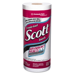 Kitchen Paper Towels - Scott