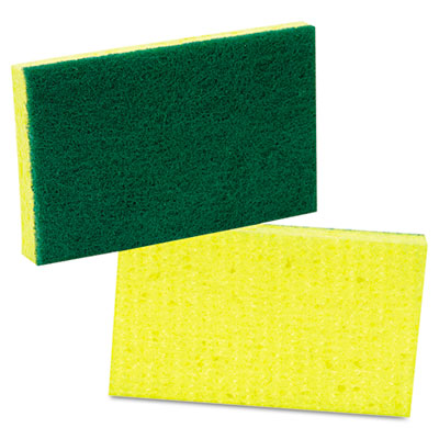 Sponge - Scrubbing